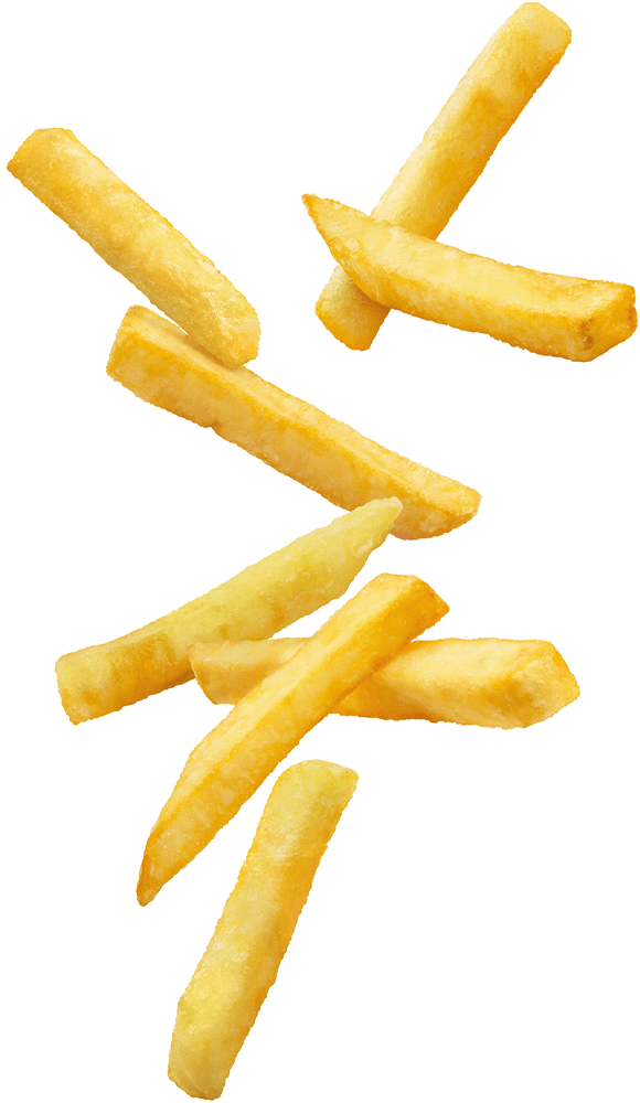https://sangamindia.gelenentinfotech.com/wp-content/uploads/2021/01/floating_fries_01.png
