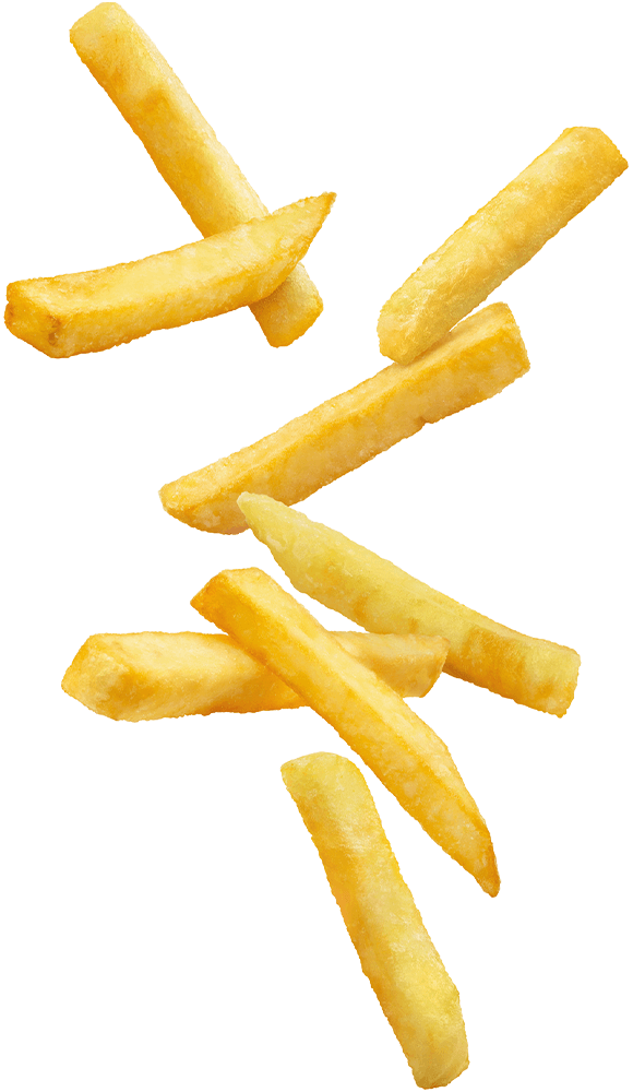 https://sangamindia.gelenentinfotech.com/wp-content/uploads/2021/01/floating_fries_02.png