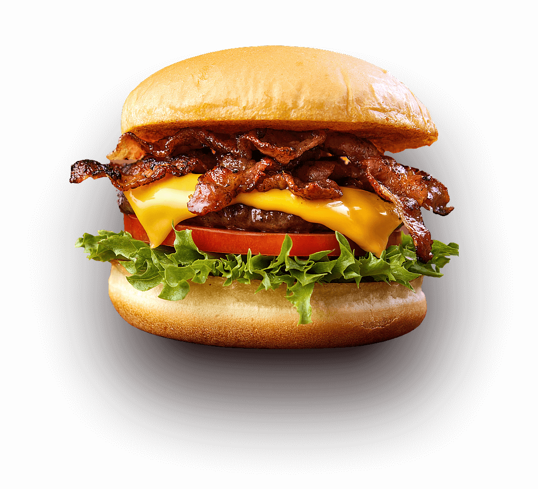 https://sangamindia.gelenentinfotech.com/wp-content/uploads/2021/02/floating_burger_02.png